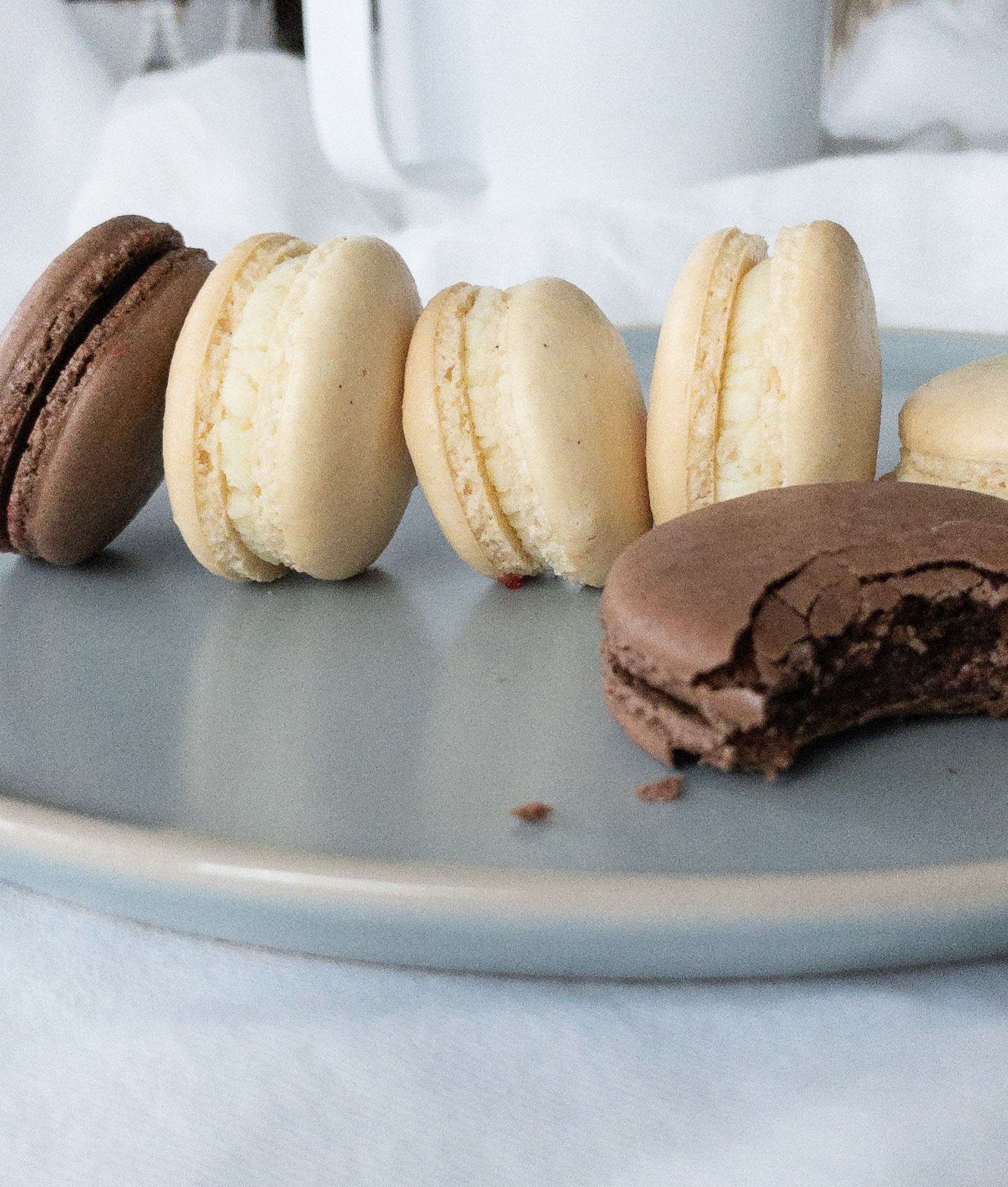 Food-plated macarons