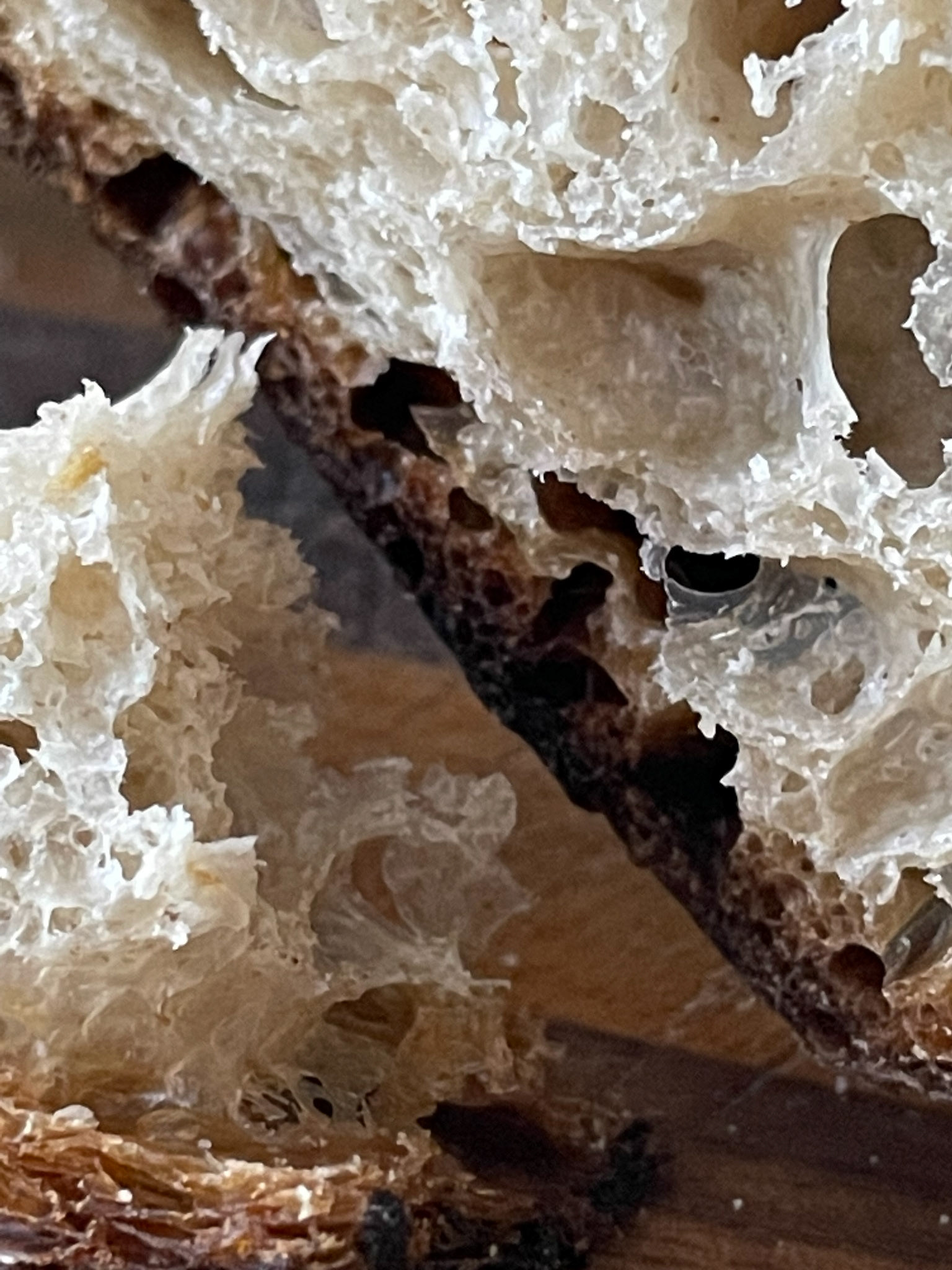 foodphotography sourdough macro shot